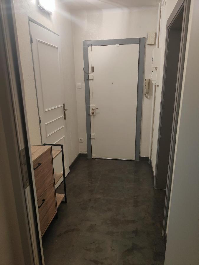 Tres Grand Appartement De 76M2 A Straatsburg Buitenkant foto