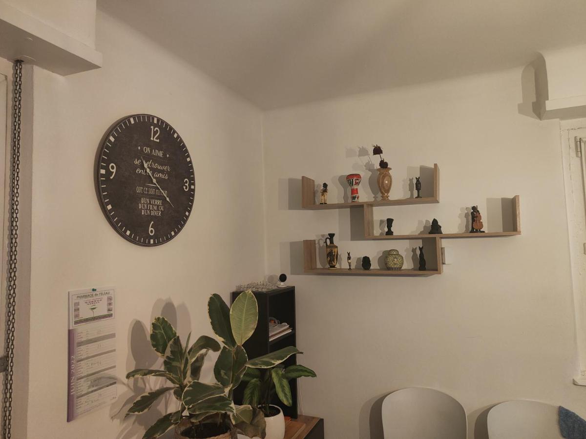 Tres Grand Appartement De 76M2 A Straatsburg Buitenkant foto