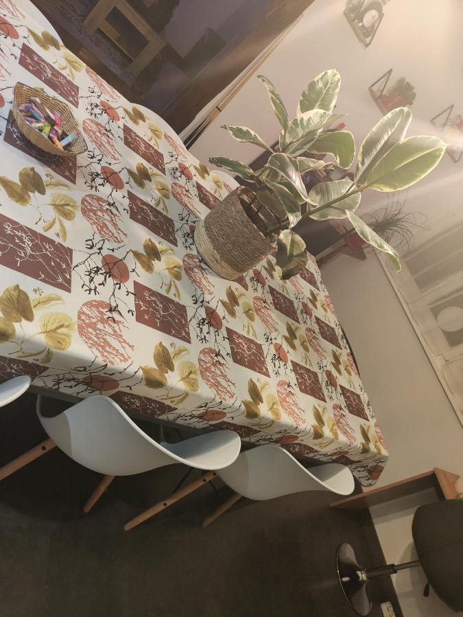 Tres Grand Appartement De 76M2 A Straatsburg Buitenkant foto