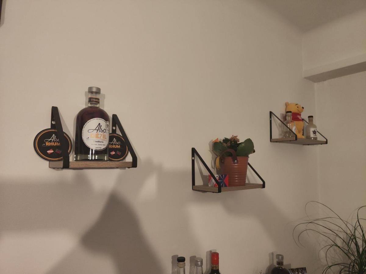 Tres Grand Appartement De 76M2 A Straatsburg Buitenkant foto